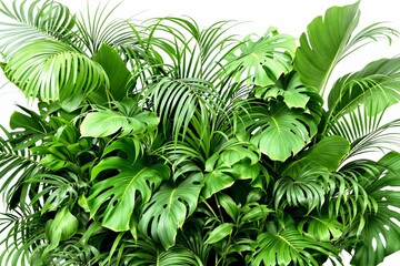 Dense tropical palm and monstera leaves in a creative style on a white background, ideal for exotic jungle-themed background or eco concept. Ai generative