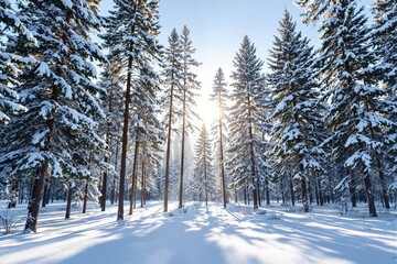 Snowy pine forest scene with tall trees under bright sunlight, creative graphic style, with a soft blue sky background. Concept of peaceful winter. Ai generative