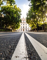 Urban avenue, sunlight through trees