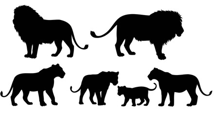 Lion Silhouettes Vector Collection – Male, Female & Cub on White Background