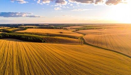 Fototapeta premium Aerial View of Golden Wheat Field at Sunset