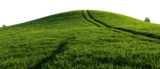 Rolling verdant hill with textured grass against a transparent, isolated ethereal expanse