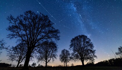 Silhouetted trees against a night sky filled with stars and the Milky Way