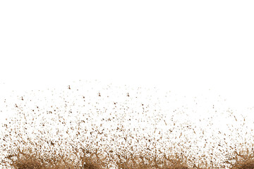mud isolated on white background.