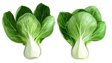 Green bok choy- a type of Chinese cabbage isolated on transparent background.