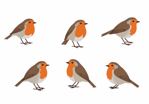Cute cartoon robin birds set in flat vector illustration style, featuring multiple red-breasted songbirds isolated on a white background.