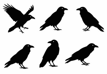 Dynamic Collection of Black Raven and Crow Silhouettes, capturing various poses from flight to perching, ideal for design and thematic projects.
