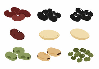 Assorted Beans and Legumes Collection: A Colorful Array of Healthy Pulses Including Red, Black, Soy, and Green Varieties on White Background.