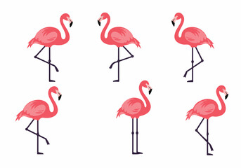 Collection of vibrant pink flamingos in various elegant poses, featuring playful tropical bird illustrations on a clean white background, perfect for summer designs.