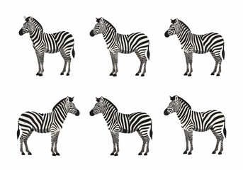 Collection of six black and white zebra illustrations in various poses, featuring minimalist flat design on a clean white background.
