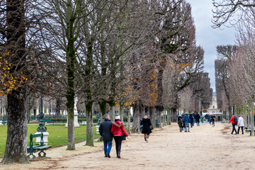 A long alley of bare chestnut trees in the Luxembourg Gardens leads to the Luxembourg Palace. Unrecognizable people are walking on a gravel path on a cloudy day in Paris, France.