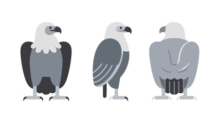 A collection of flat, monochrome illustrations of a majestic bald eagle, showcasing its front, side, and back profiles in a clean and modern style.
