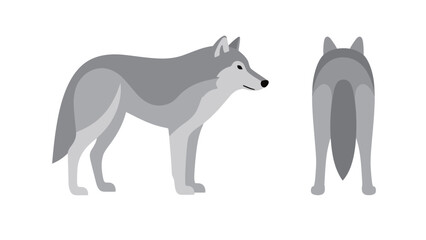 A simple, gray, flat vector illustration set of a wolf, showing a full-body side view and a back view, perfect for minimalist designs and icons.