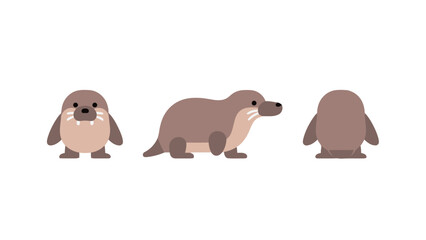 A set of simple, cute, flat vector illustrations of an otter in different poses, including front, side, and back views.