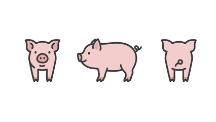 A set of simple, cute, and flat vector illustrations of a pig, showing its front, side, and back views on a clean white background.