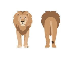 A pair of simple, flat vector illustrations of a male lion, featuring a front view and a back view on a clean white background.