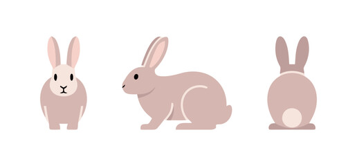 Brown Rabbit Poses from Front, Side, and Back View for Nature and Pet-themed Graphics
