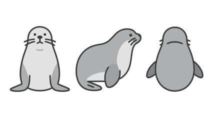 Gray and White Seal in Various Poses for Marine Animal and Ocean Wildlife Illustrations