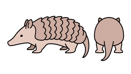 Two different vector views of a pangolin, side and back, in a cute and simple graphic style on a clean white background
