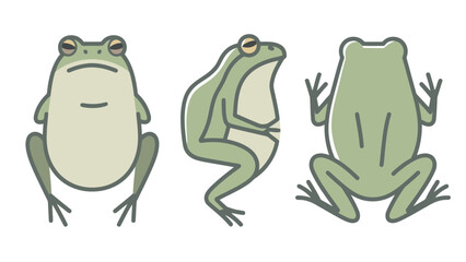 Flat vector illustration of a cute cartoon frog from the front, side, and back, isolated on a white background.