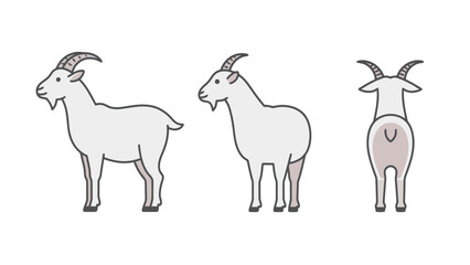 Cute flat vector illustration of a cartoon goat from various poses including side and back views, isolated on a white background.