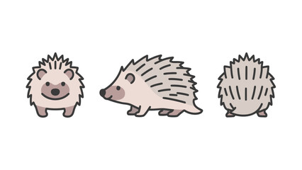 Cute flat vector illustration of a cartoon hedgehog from the front, side, and back, isolated on a white background.