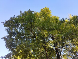 Perfect beautiful nature pictures