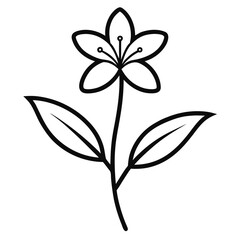 scaevola calendulacea line art vector illustration on white