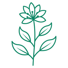 scaevola calendulacea line-art vector on whiteon-white