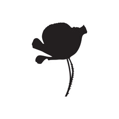 Poppy Vector (7).eps