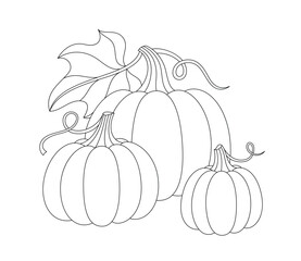 Pumpkins with twigs and leaves coloring page. Autumn seasonal vector contour illustration of harvest. Fall floral hand drawn doodle for coloring book