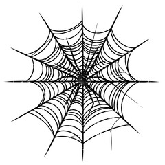 spider and web
