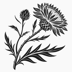 Black and white illustration of a thistle flower and bud