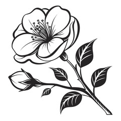 Obraz premium Elegant black and white line art illustration of a blooming flower and bud on a branch with leaves