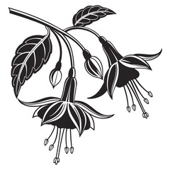 Stylized black and white illustration of fuchsia flowers and leaves
