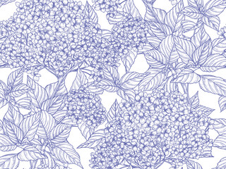 Seamless vector pattern of blooming hydrangea bushes. Linear background with summer blue flowers. Garden wallpaper