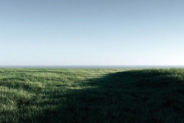 Open grassy field under clear blue sky