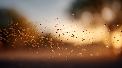 Obraz premium Numerous bees buzzing and flying through the air during a stunning golden hour sunset, creating a captivating natural spectacle filled with vibrant colors and warm light