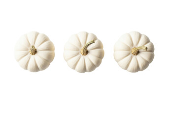 Obraz premium Three white miniature 'Baby Boo' pumpkins with brown stems in a straight row on a bright white background with 'happy thanksgiving' text, minimalist Thanksgiving holiday concept
