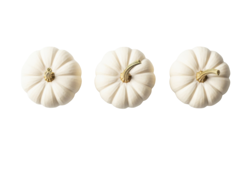 Three white miniature 'Baby Boo' pumpkins with brown stems in a straight row on a bright white background with 'happy thanksgiving' text, minimalist Thanksgiving holiday concept - Powered by Adobe