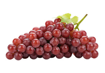 Fototapeta premium Ripe red grapes with a natural bloom on a vibrant green stem and leaves, resting on a reflective white surface against a transparent background with copy space, soft studio light, concept of natural