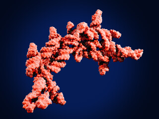 Multimeric RNA. Stable RNA-based therapeutics.Multimerization of RNA  ensures high stability, high efficacy, and prolonged action of RNA-based drugs. 