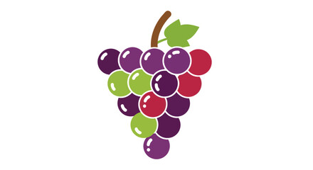 A vibrant bunch of assorted grapes with a single green leaf.