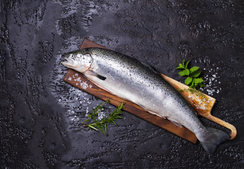 Raw whole salmon fish on black background. View from above, top studio shot