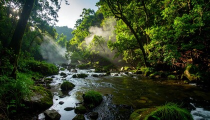 Obraz premium Lush forest stream with mist