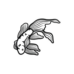 Koi fish logo design vector template. Koi fish line art. Koi fish japanese logo vector element