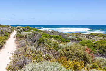 Surf on the Indian Ocean at Gnarabup, Prevelly, Margaret River Region, Shire of Augusta in the SW Region of Western Australia WA