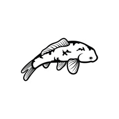 Koi fish logo design vector template. Koi fish line art. Koi fish japanese logo vector element