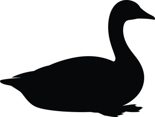 Geese Silhouette, Silly Goose Vector