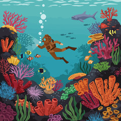 Obraz premium Diving Diver swims around coral reef full of fishes and aquatic plants